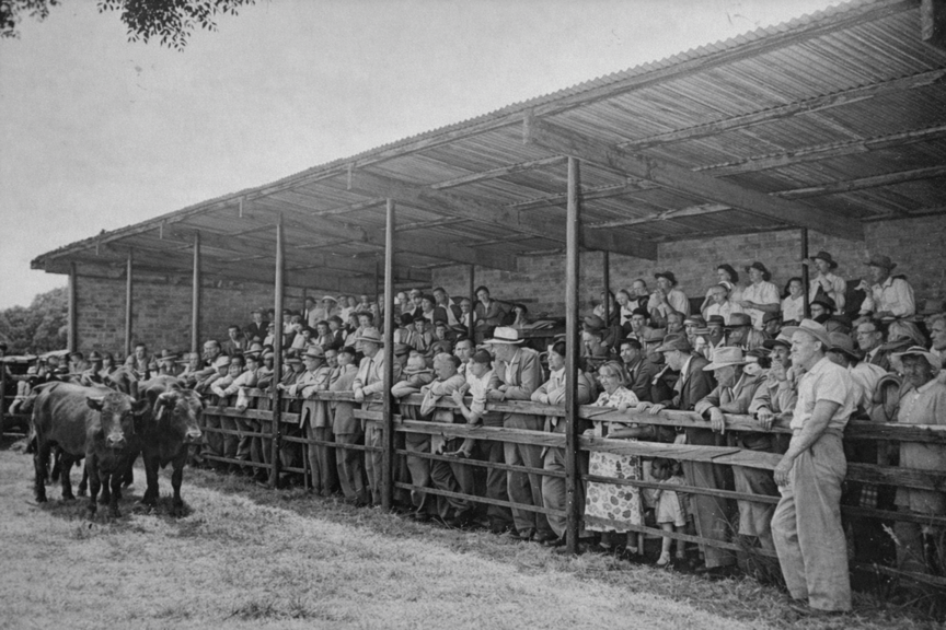 1930s Parallel Growth